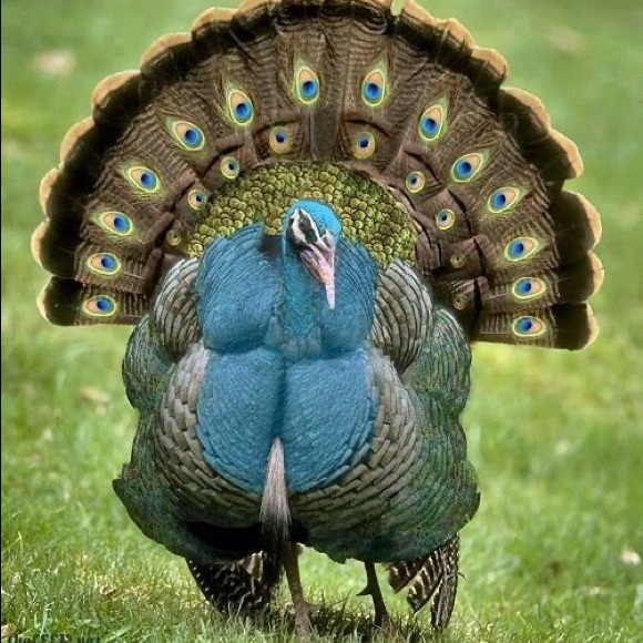 🌍five star seller - check my love notes - Picture 3 of 16